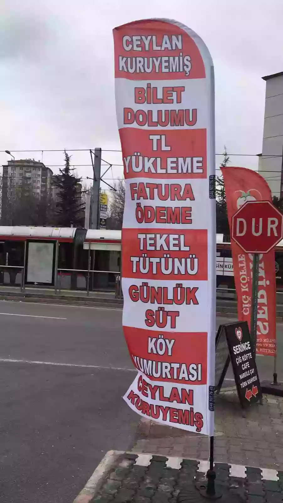 Kuruyemiçi Olta Bayrağı-20