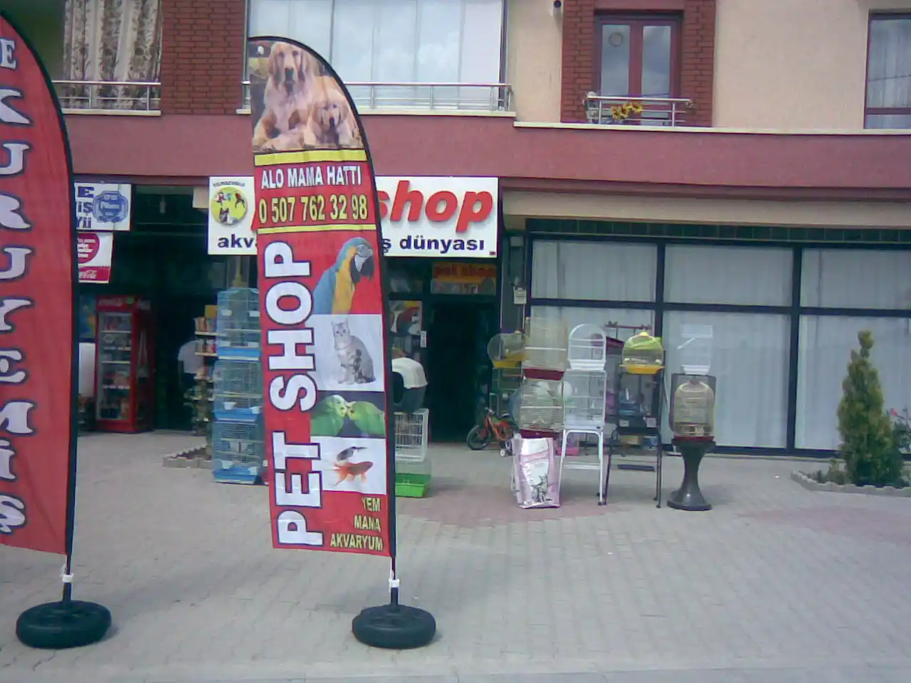 Pet Shop Olta Bayrağı-34